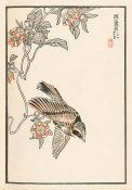Kono Bairei - Bairei Picture Album of One Hundred Birds, plate 14, 1881- 1884