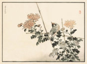 Kono Bairei - Bairei Picture Album of One Hundred Birds, plates 23/24, 1881- 1884