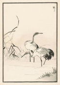 Kono Bairei - Bairei Picture Album of One Hundred Birds, plate 37, 1881- 1884