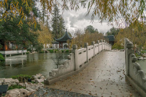 Martha Benedict - Chinese Garden in the Rain, Huntington Botanical Gardens