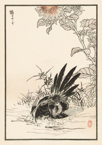 Kono Bairei - Bairei Picture Album of One Hundred Birds, plate 13, 1881- 1884