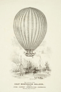 H. Harrison - The Ascent of the Great Montgolfier Balloon, from the Royal Surrey Zoological Gardens, 1838