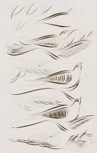 Unknown Artist - [Paper with drawings of ornamental penmanship birds, feathers, and signatures], approximately 1860-1869
