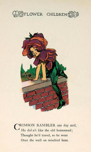 M. T. Ross - Flower Children: Crimson Rambler, 1910