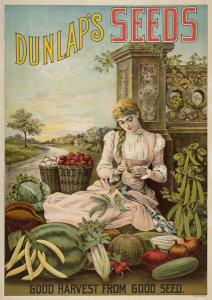 A.H. Dunlap & Sons - Dunlap's Seeds : Good harvest from good seed, 1886-1906