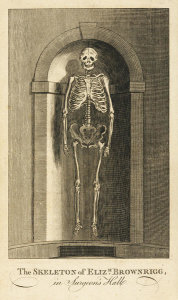 William Jackson - The Skeleton of Elizabeth Brownrigg, 1795