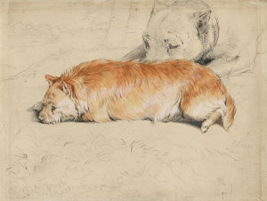 Edwin Henry Landseer - Two Dogs Resting, 1811