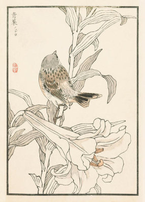 Kono Bairei - Bairei Picture Album of One Hundred Birds, plate 6, 1881- 1884