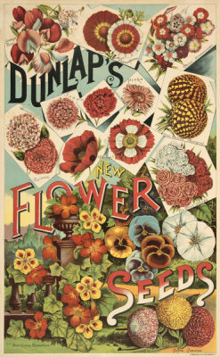 A.H. Dunlap & Sons - Dunlap's new flower seeds, 1886-1906