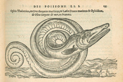 Pierre Belon (author) - Serpent de mer (The Sea Serpent), 1553