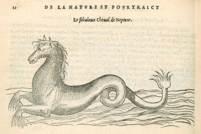 Pierre Belon (author) - Le fabuleux Cheval de Neptune, 1553