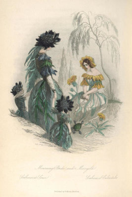 J.J. Grandville - The Flowers Personified: Mourning Bride and Marigold (Scabiosa et Calendula)