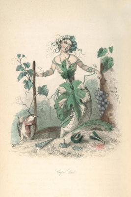 J.J. Grandville - The Flowers Personified: Grapevine