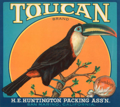 Unknown printer/designer - Toucan Brand crate label, ca. 1919