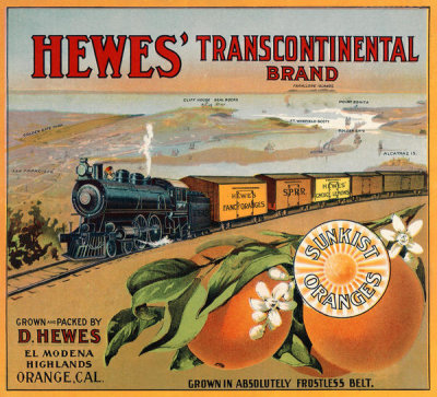 Unknown printer/designer  - Hewes’ Transcontinental Brand crate label, ca. 1910–1920