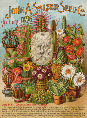 John A. Salzer Seed Co. - Autumn, 1896